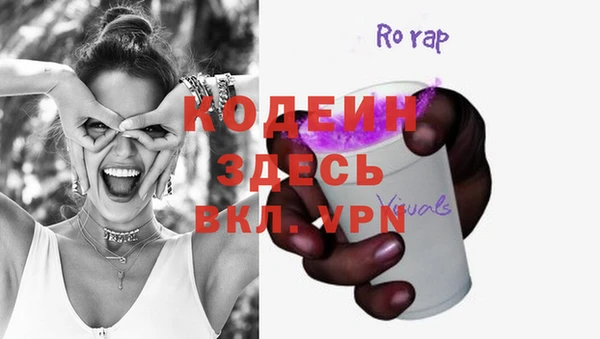 молекула духа Козельск