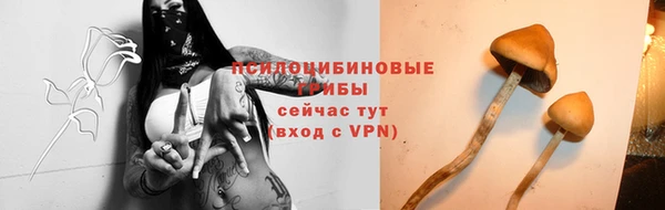 тгк Красноперекопск
