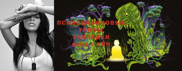 каннабис Корсаков