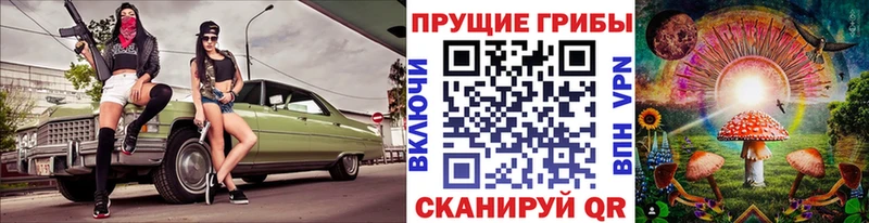 KRAKEN рабочий сайт  Краснокаменск  Псилоцибиновые грибы мицелий  что такое наркотик 